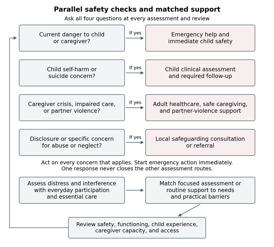 At every assessment and review ask all four safety questions: current danger, child self-harm or suicide concern, caregiver crisis or partner violence, and suspected maltreatment. Act on each that applies, starting emergency help immediately. Responses can operate together. Then assess distress, participation, and essential care and match support to needs. Review returns to all four questions.
