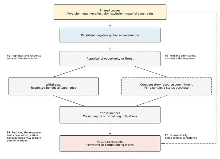 Title: Figure 1 - Description: Persistent negative self-evaluation leads to appraisal, then to withdrawal (primary route) or resource commitment (secondary route), then to consequences and future constraints, with propositions P1 to P4 attached to the relevant links and shared causes shown separately.