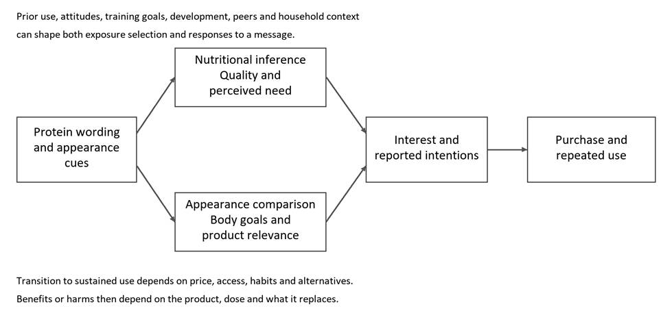 Two proposed pathways connect protein wording and appearance cues to interest and intentions: nutritional inference and appearance comparison. Purchase and repeated use require additional behavioral transitions.