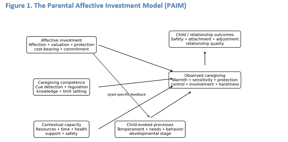 Figure 1. The Parental Affective Investment Model (PAIM)